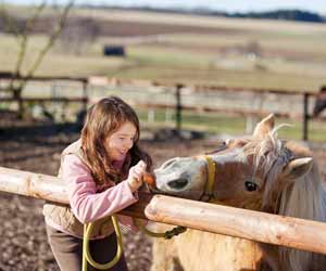 girl feeding horse guest ranch dp 300x250