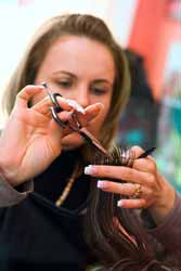 Hair Stylist Cutting Hair Photo