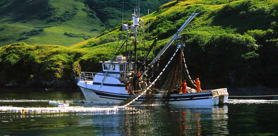 Crew Working on Purse Seine Boat in Alaska