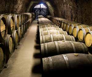 Wine Cellar Barrels Photo