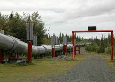 Alaska Oil Pipeline Photo