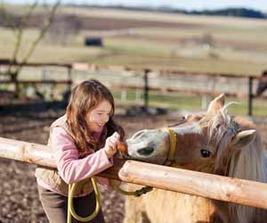 Children's Wrangler Jobs On Dude Ranches Children's Wrangler Jobs On Dude Ranches