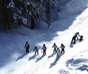 Ski Instuctor Taking Student Down Ski Slope