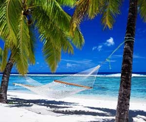 Empty hammock strung between palm trees on deserted beach