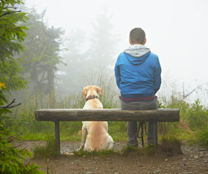 Man and dog look lost while sitting on bench in foggy forest