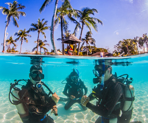 Camera angle of scuba divers underwater and tropical island above water