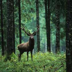 Outdoor Jobs Can be Tough to find but Offer Fulfilling Experiences
