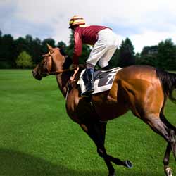 Horse Racing Jockeys Ride Horses for Sport