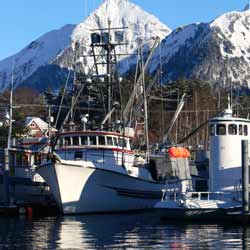 Alaska Commercial Fishing Boats in Harbor