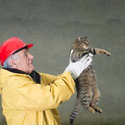 Animal Rescue Groups Generally are Non-Profit