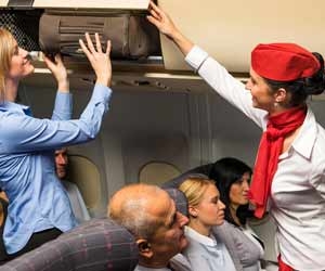flight attendant requirements