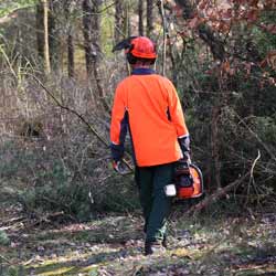 Forest workers Must be Prepared for all Types of Weather