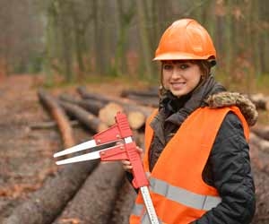 Working Conditions in the Forestry Service Generally Require Employees to Work in all Weather Conditions