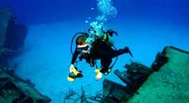 Diving Jobs are Out there, Search on JobMonkey Today Photo Button