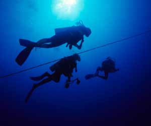 SCUBA Divers doing Dive