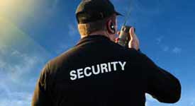 There are Various Types of Jobs in the Security Industry Photo Button